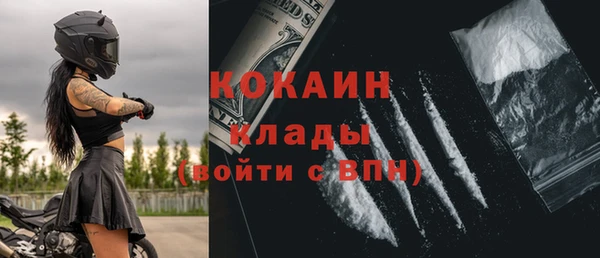 индика Абинск