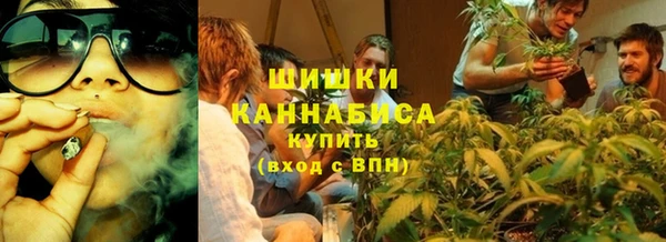 прущие грибы Алзамай