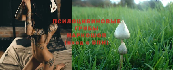 индика Абинск